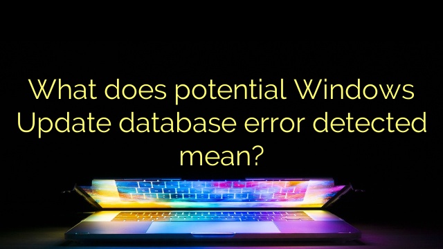 What does potential Windows Update database error detected mean?