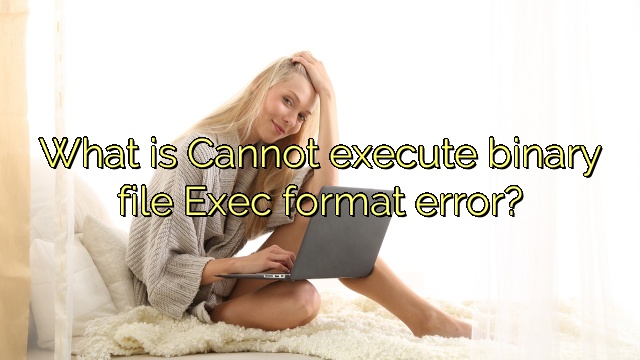 What is Cannot execute binary file Exec format error?